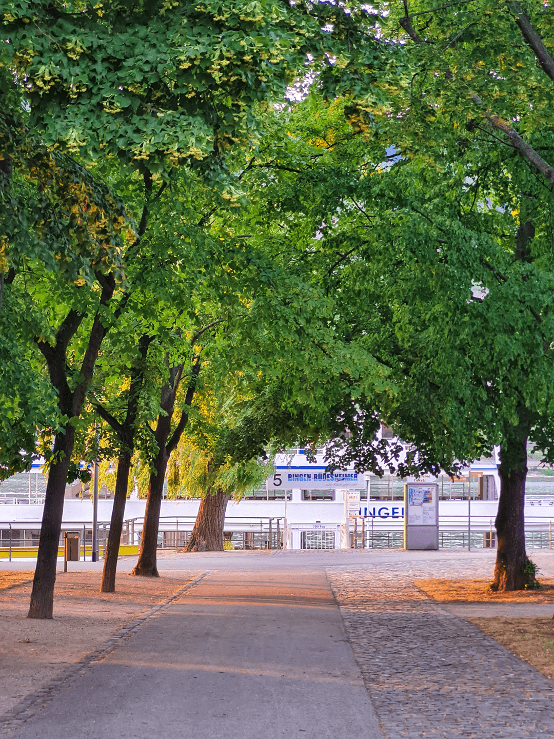 Rhein Bingen Wohnung Kauf