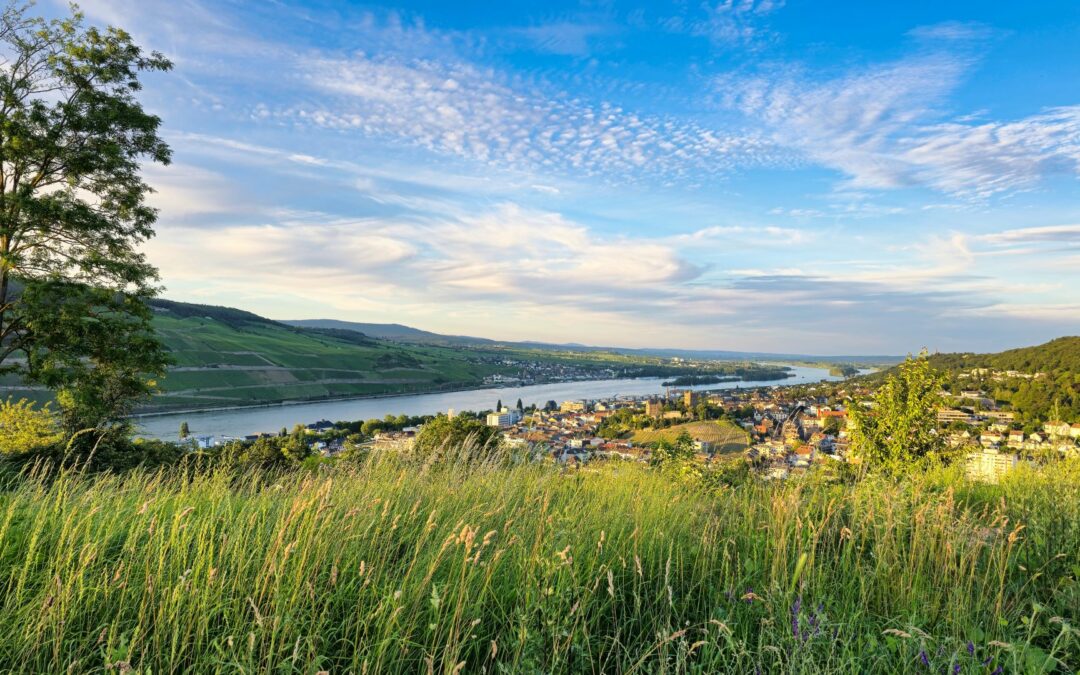 Immobilienmarkt Bingen 2026: Was Verkäufer jetzt wissen müssen