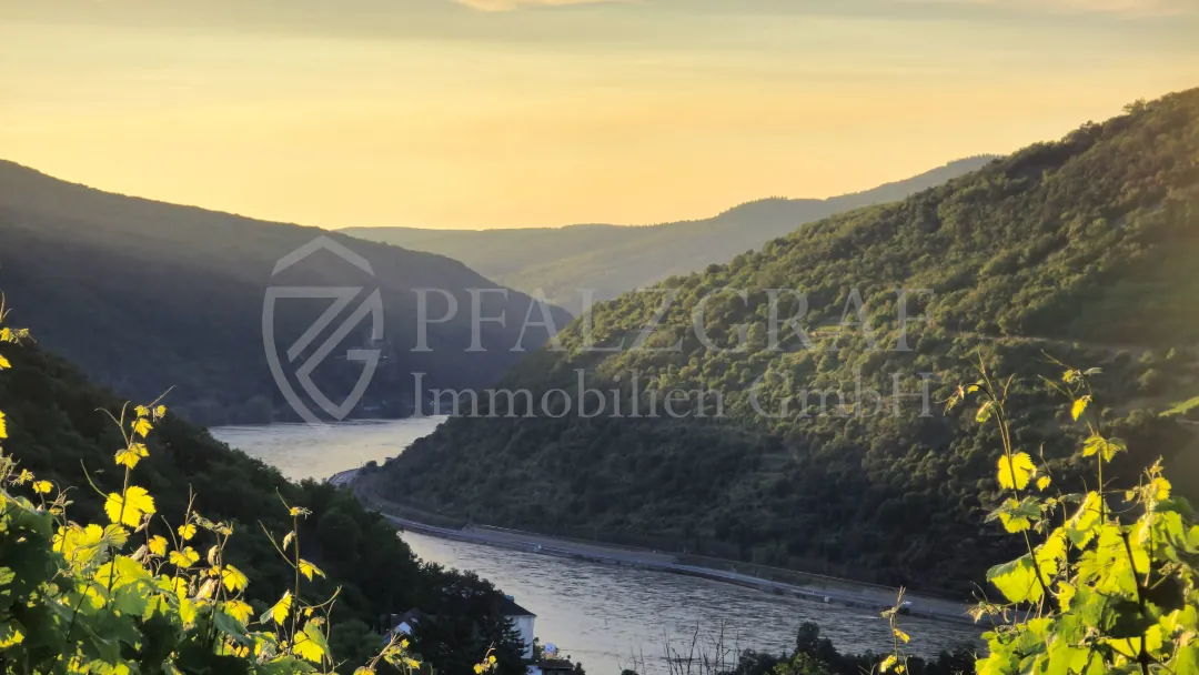 Haus verkaufen Bingen Immobilienpreise 2026